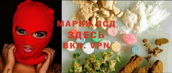 хмурый Алзамай