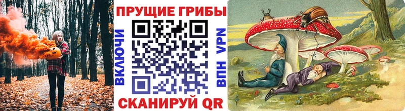 Псилоцибиновые грибы Psilocybine cubensis  Купить закладки  Москва 